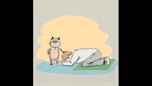 Những điểm khác nhau kể hoài không hết của chó và mèo ảnh 1