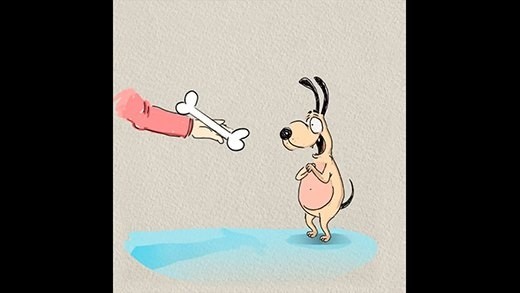 Những điểm khác nhau kể hoài không hết của chó và mèo ảnh 2