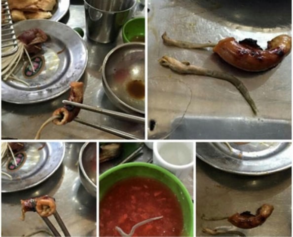 Còn giun ngoe nguẩy thì lòng mới tươi ảnh 1