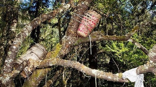 Mục đích ít ai biết của tục thụ táng trên cây ảnh 2