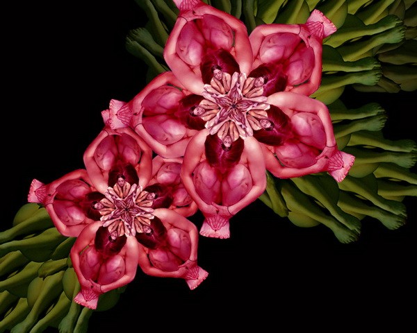 Ngỡ ngàng với kiệt tác nghệ thuật từ 'người mẫu nude' ảnh 8