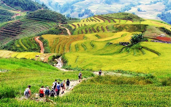 'Dị biệt' tập quán ăn uống của một số dân tộc ở Sa Pa ảnh 2