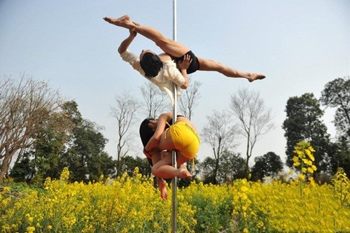 Dân mạng 'ném đá' gái trẻ diện bikini múa cột giữa vườn cải ảnh 4