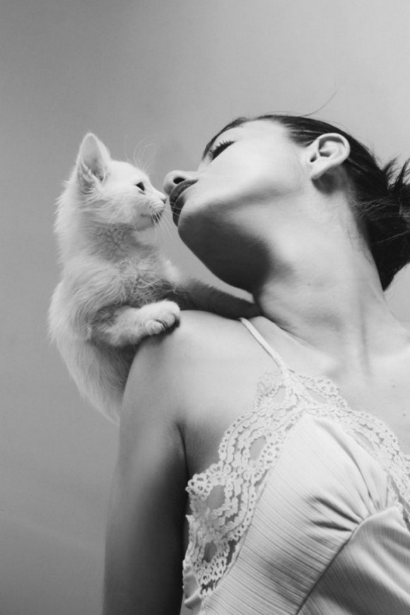 Hận vợ ngoại tình chồng mua băng đĩa, phim sex về ‘làm nhục vợ’ ảnh 1