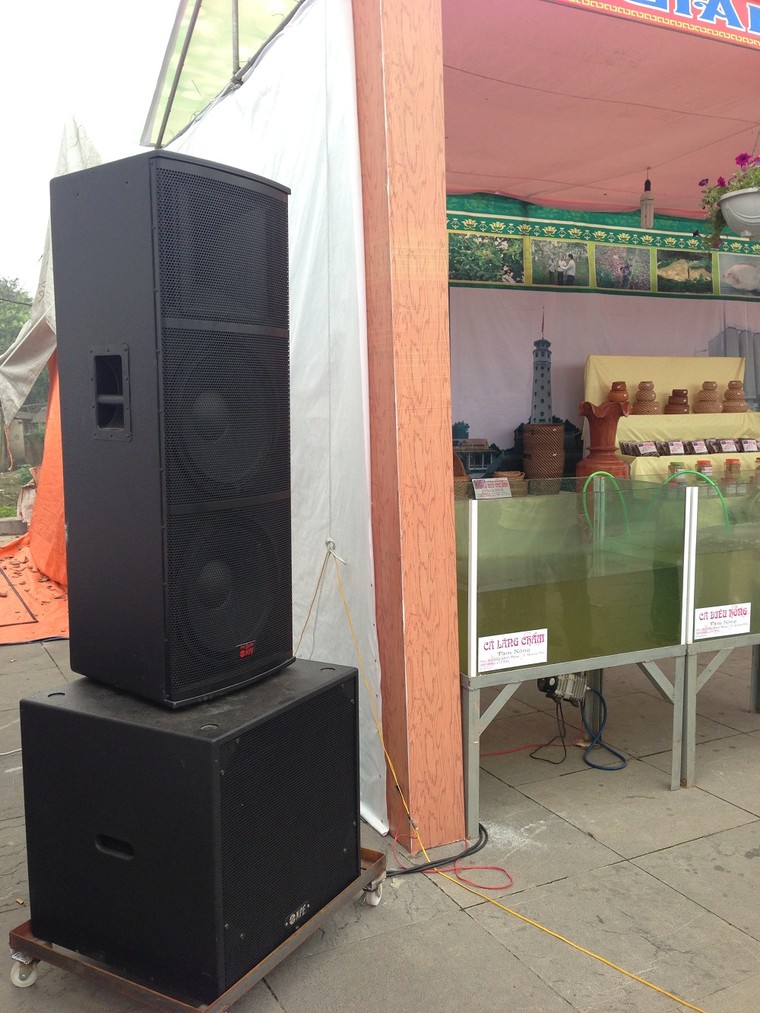 Những hình ảnh xấu tại trung tâm Lễ hội Đền Hùng 2016 ảnh 2