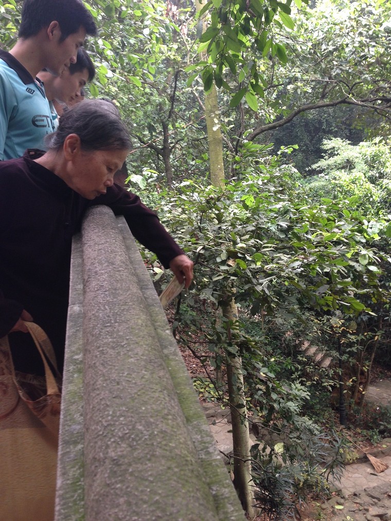 Những hình ảnh xấu tại trung tâm Lễ hội Đền Hùng 2016 ảnh 8