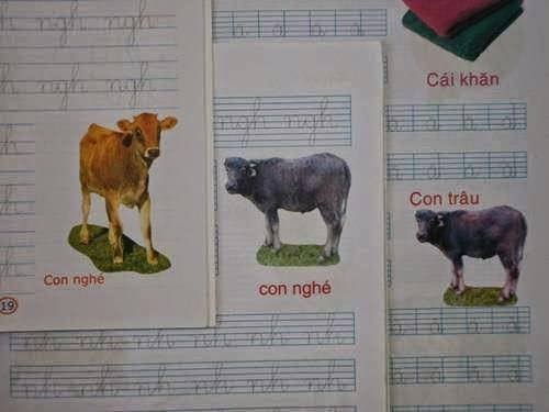 Hoảng hốt vì những lỗi biên tập sách cho trẻ em ảnh 11