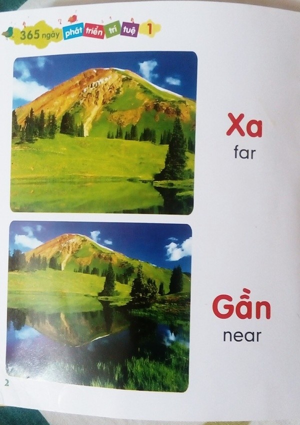 Sốc vì lỗi sách cho trẻ em: Loài chim lớn nhất thế giới là lạc đà ảnh 4