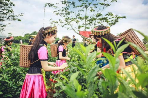 Bộ ảnh kỷ yếu 'độc nhất vịnh Bắc Bộ' của học sinh Ninh Bình ảnh 5