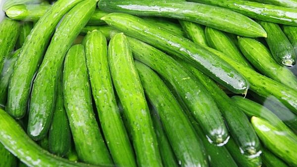 Mối nguy hại chết người từ dưa chuột mà ít ai biết ảnh 1