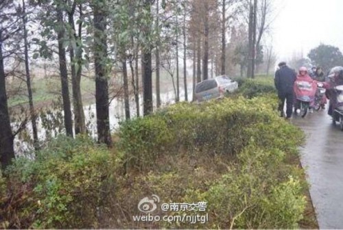 Cặp đôi đâm vào bụi cây vì hôn nhau trên xe như Hậu duệ mặt trời ảnh 2