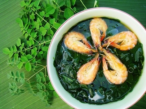 Rau chùm ngây sẽ rất độc với những người này! ảnh 5