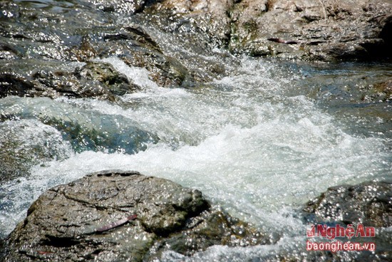 Về Con Cuông tắm Khe nước Mọc, ăn cá nướng và xôi tím ảnh 1