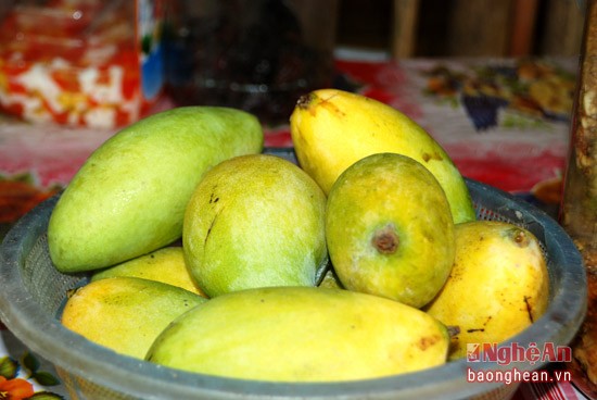 Về Con Cuông tắm Khe nước Mọc, ăn cá nướng và xôi tím ảnh 10