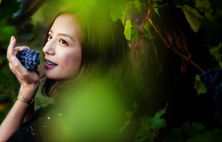 Cận cảnh vườn nho 97 tỷ của 'Tiểu Yến Tử' Triệu Vy ảnh 2