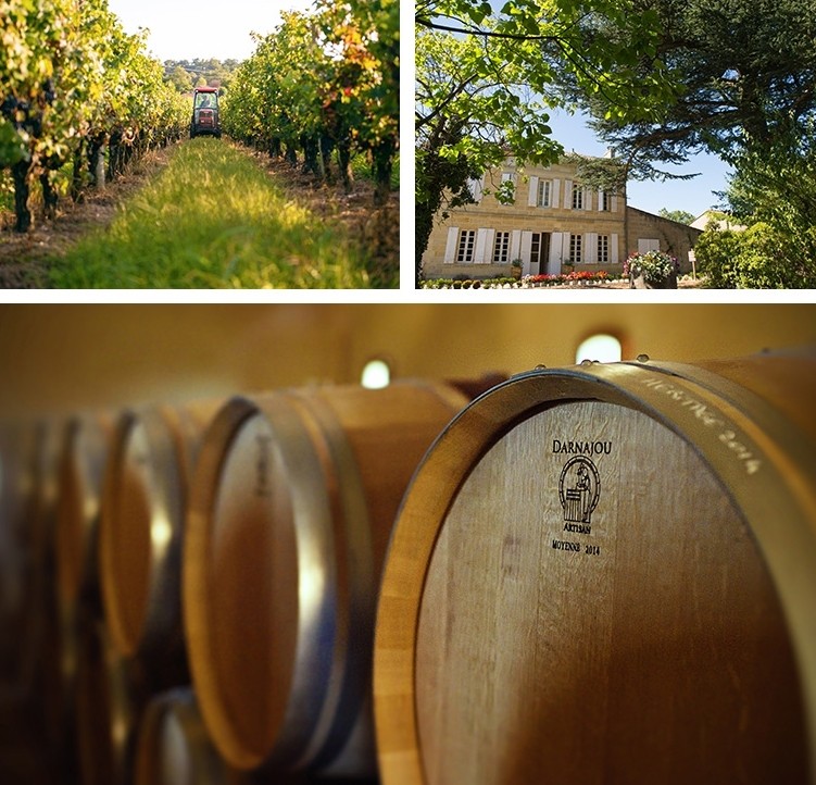 Cận cảnh vườn nho 97 tỷ của 'Tiểu Yến Tử' Triệu Vy ảnh 8