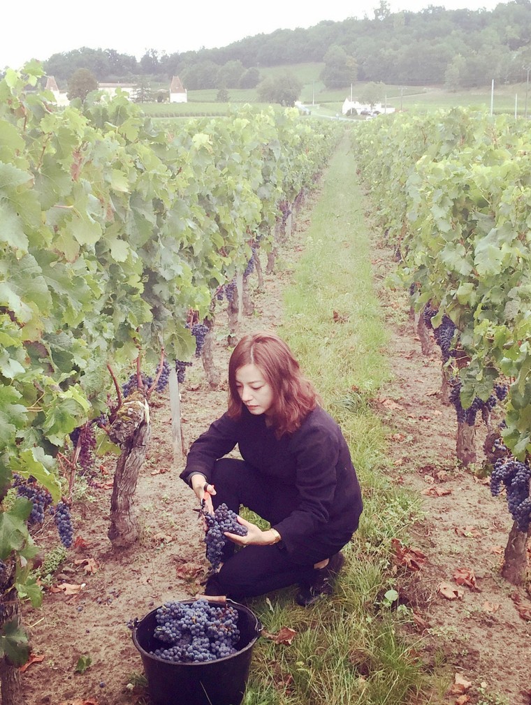 Cận cảnh vườn nho 97 tỷ của 'Tiểu Yến Tử' Triệu Vy ảnh 6