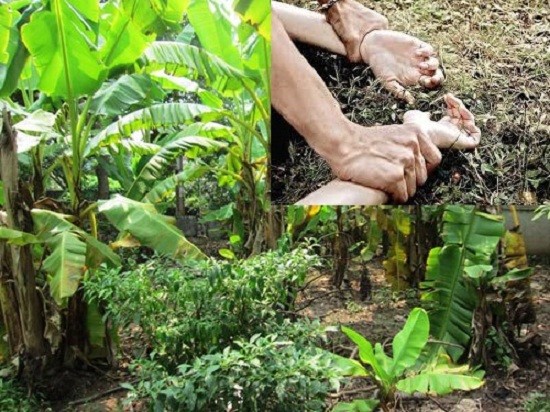 Những nghi vấn xung quanh vụ 'anh hùng cứu mỹ nhân' ảnh 1