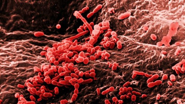 Có nên ăn thức ăn vừa rơi xuống nền nhà? ảnh 2