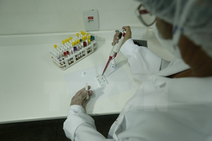 Công bố phương pháp thử mới phát hiện virus Zika trong 20 phút ảnh 1