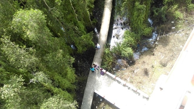 Khám phá rừng tràm bí ẩn tại làng nổi Tân Lập ảnh 3