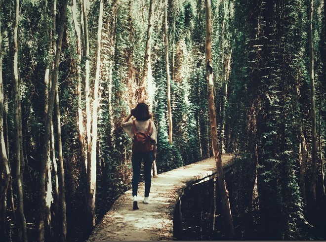 Khám phá rừng tràm bí ẩn tại làng nổi Tân Lập ảnh 8