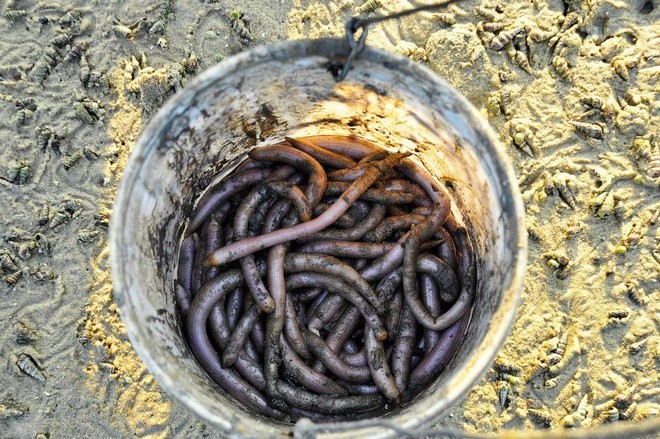 Cảnh đẹp đầm Lập An làm say lòng du khách ảnh 4