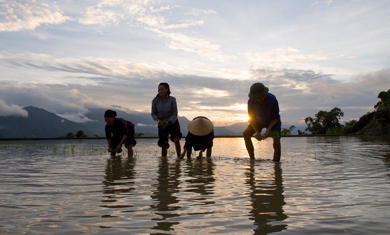Tuyệt tác ruộng bậc thang Hoàng Su Phì mùa nước đổ ảnh 8
