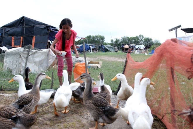 Cuộc mưu sinh của trẻ Việt kiều không quốc tịch bên hồ Dầu Tiếng ảnh 6