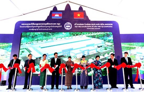 Giấc mơ toàn cầu hóa thương hiệu của Vinamilk ảnh 2