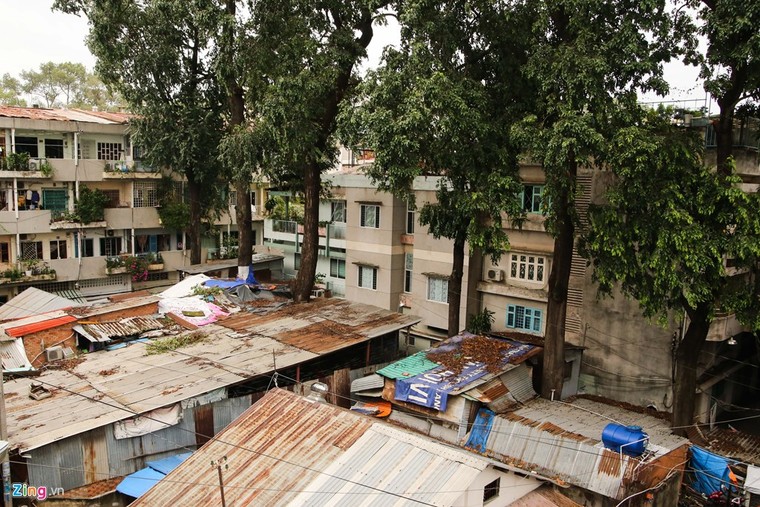 [ẢNH] Nhiều cây trăm tuổi ở Sài Gòn bị... nhốt vào nhà ảnh 1