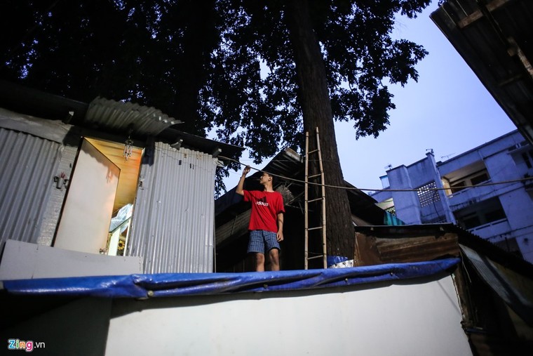 [ẢNH] Nhiều cây trăm tuổi ở Sài Gòn bị... nhốt vào nhà ảnh 10