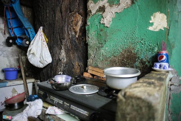 [ẢNH] Nhiều cây trăm tuổi ở Sài Gòn bị... nhốt vào nhà ảnh 6