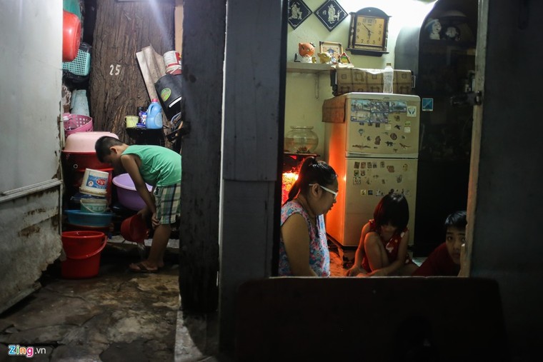 [ẢNH] Nhiều cây trăm tuổi ở Sài Gòn bị... nhốt vào nhà ảnh 9