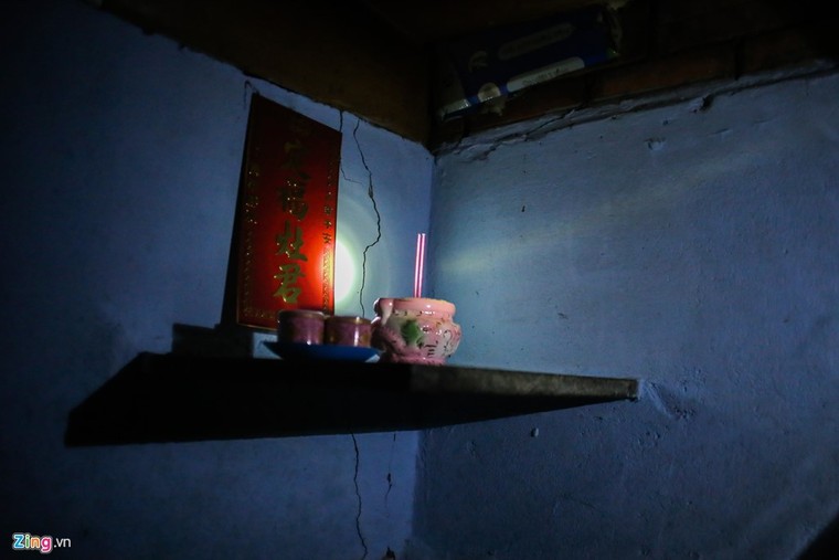 [ẢNH] Nhiều cây trăm tuổi ở Sài Gòn bị... nhốt vào nhà ảnh 5