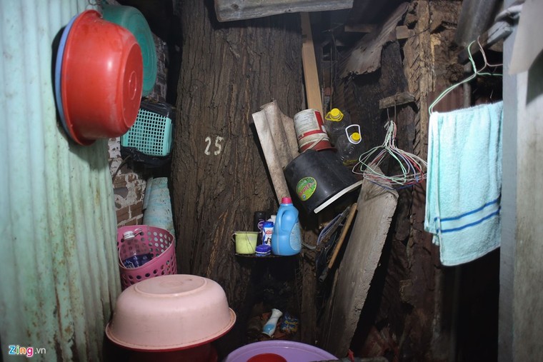 [ẢNH] Nhiều cây trăm tuổi ở Sài Gòn bị... nhốt vào nhà ảnh 8