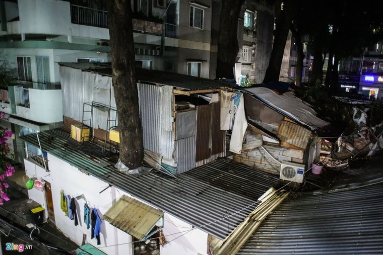 [ẢNH] Nhiều cây trăm tuổi ở Sài Gòn bị... nhốt vào nhà ảnh 15