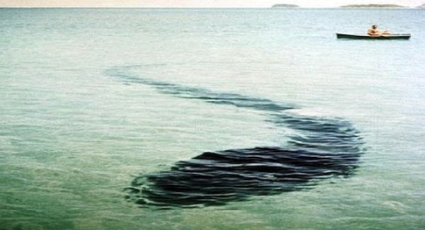 Những bức ảnh kì quái trong lịch sử khiến các nhà khoa học đau đầu ảnh 3