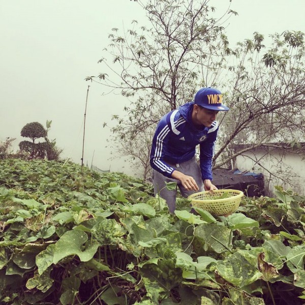 Rộ tin Vĩnh Thụy về ra mắt gia đình Hoàng Thùy Linh ảnh 2