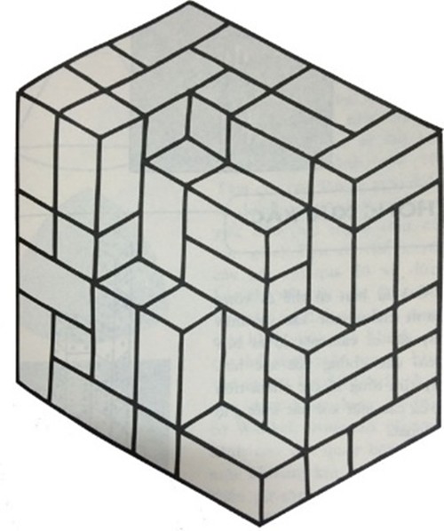 Lời giải bài toán bậc tiểu học 'Ảo ảnh thị giác' ảnh 1