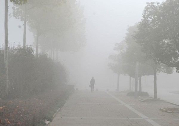 Đi thăm họ hàng, bị lạc đường cả ngày vì sương mù ảnh 2