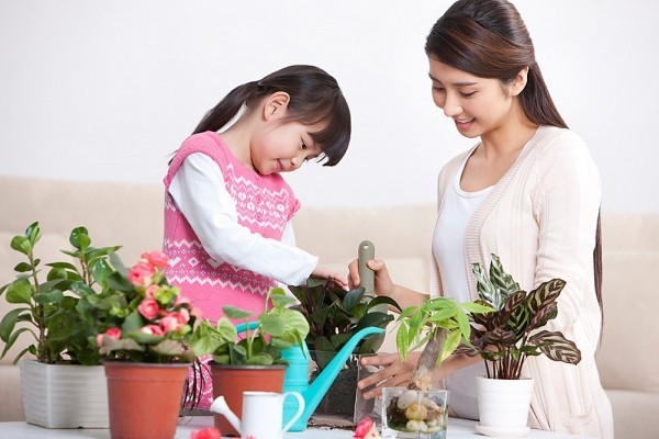 Bí quyết dạy con tự lập của mẹ Nhật ảnh 2