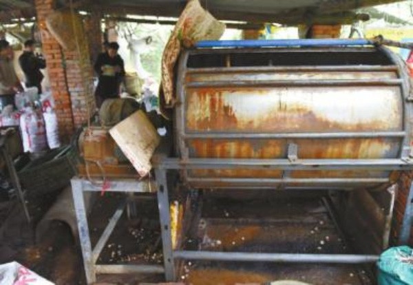 Khoai môn Trung Quốc và bí mật động trời ảnh 2