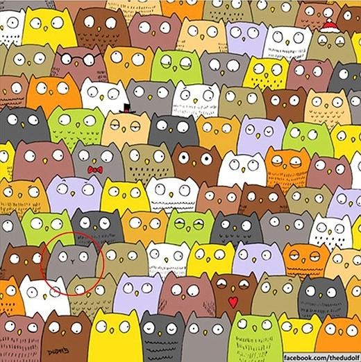 Câu đố tìm gấu trúc 'hại não' gây sốt nhất ngày Giáng sinh ảnh 4