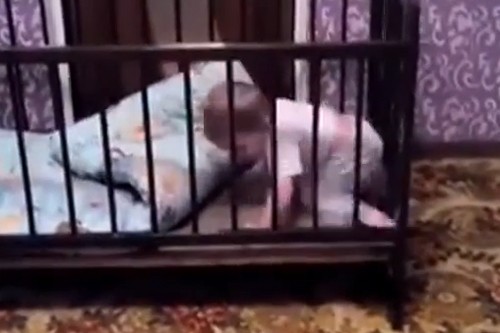 12 video được chia sẻ nhiều nhất trên internet năm 2015 ảnh 5