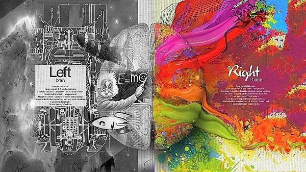Có gì khác biệt trong não phải và não trái của con người? ảnh 2