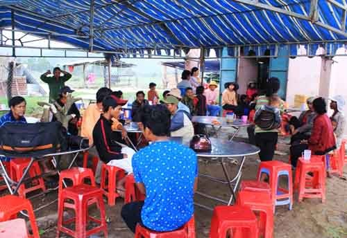 Chị nguy kịch, 2 em tử vong sau khi ăn thịt cóc ảnh 2