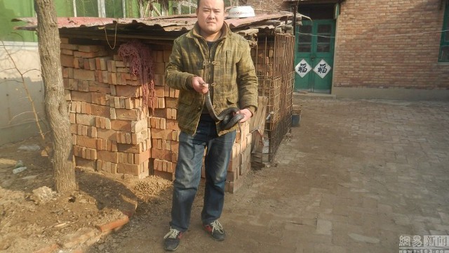 Hãi hùng cha cho rắn hổ mang cực độc cắn tay con gái để chữa bệnh ảnh 4