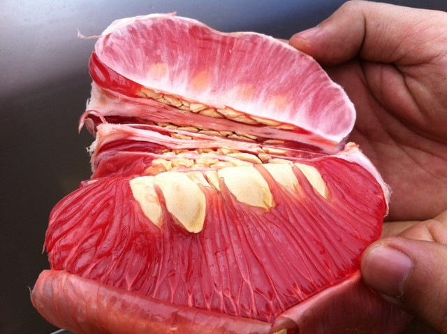 Những sai lầm khi ăn bưởi huỷ hoại sức khoẻ của bạn ảnh 1