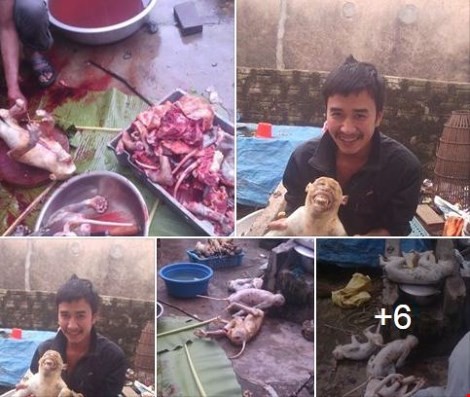 Thanh niên khoe giết khỉ bị điều tra vì nuôi nhốt chim cắt ảnh 1